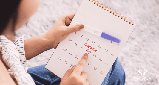 How to Identify Your Fertile Window for Conception Success