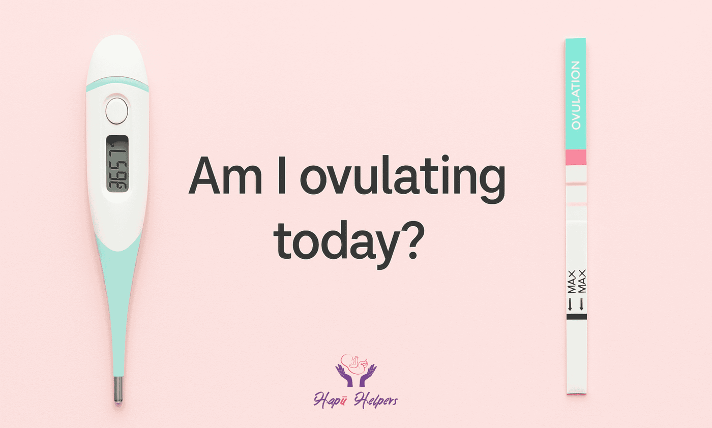Am I Ovulating Today? Let's Find Out